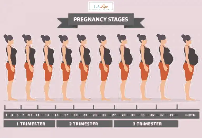 First Trimester (Weeks 1–12): Early Changes You Might Not Notice Higham Ferrers